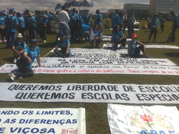 Participantes de ato em defesa da educação especial estendem cartazes no gramado do Congresso Nacional, em Brasília (Foto: Gabriella Julie/G1)