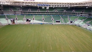 Arena Palmeiras reforma (Foto: Divulgação)
