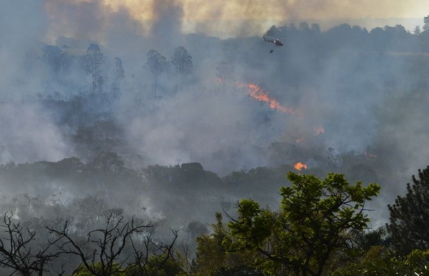 Incêndio atinge área de floresta do Cerrado em Brasília (Foto: Valter Campanato/Agência Brasil)