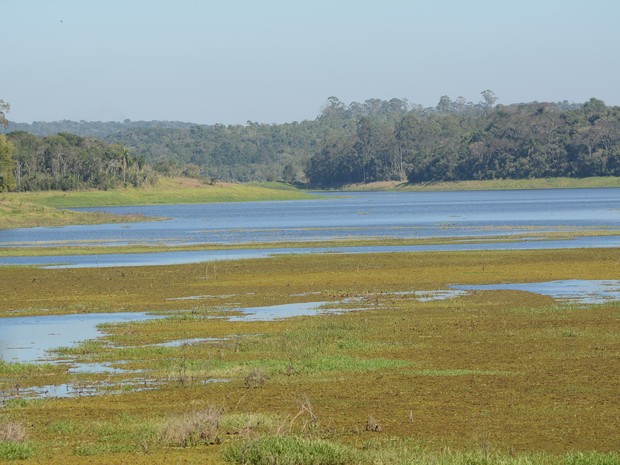 Represa de Biritiba-Mirim no dia 14 de agosto de 2015 (Foto: Maiara Barbosa/ G1)