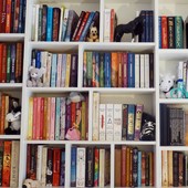'Booktubers' contam livros imperdíveis (Arquivo pessoal)