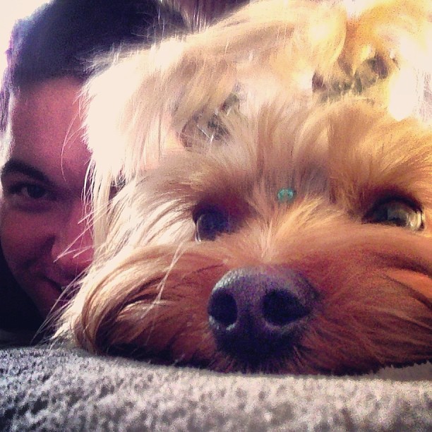 Nasser, ex-bbb, e cachorrinho (Foto: Instagram / Reprodução) Nasser, ex-bbb, e cachorrinho (Foto: Instagram / Reprodução)