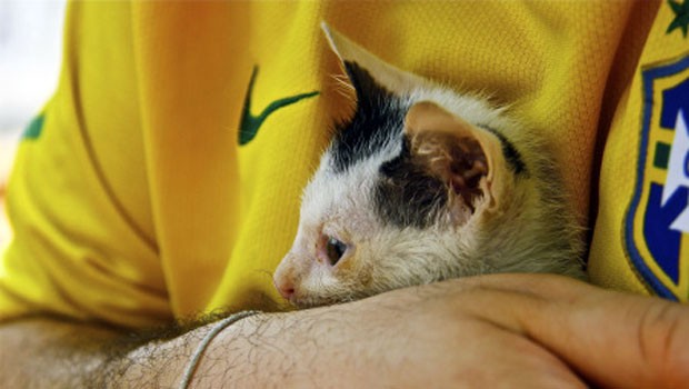 O gato Floquildo com Solly Boussidan (Foto: Carolina Vila-Nova/Cheiro de Durian)