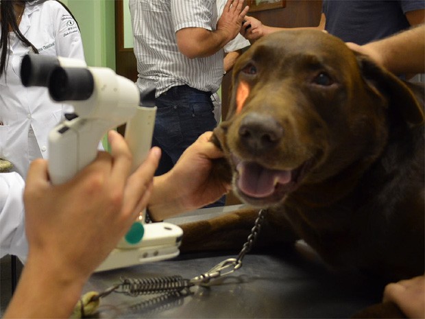 Astor encara a primeira consulta oftalmolgica da vida (Foto: Fernanda Testa/G1)