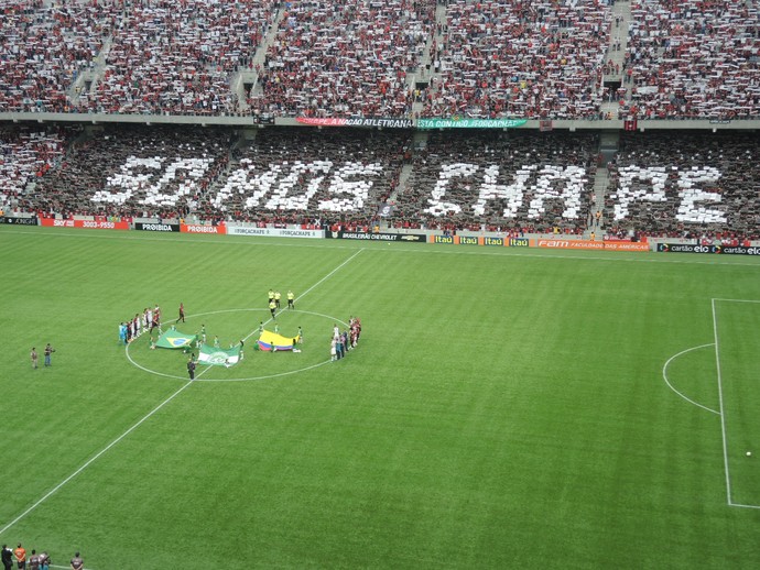 Mosaico Chapecoense Arena da Baixada Atlético-PR x Flamengo (Foto: Gustavo Rotstein)