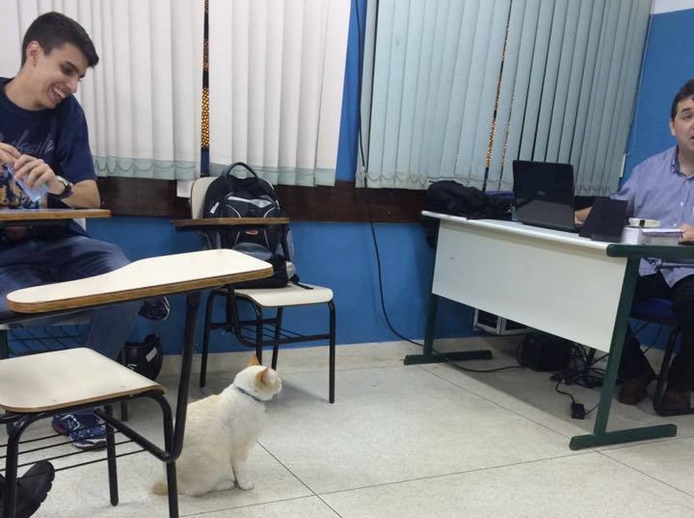 Branco acompanha aula de direito na Fatec de Santos (Foto: Arquivo Pessoal)