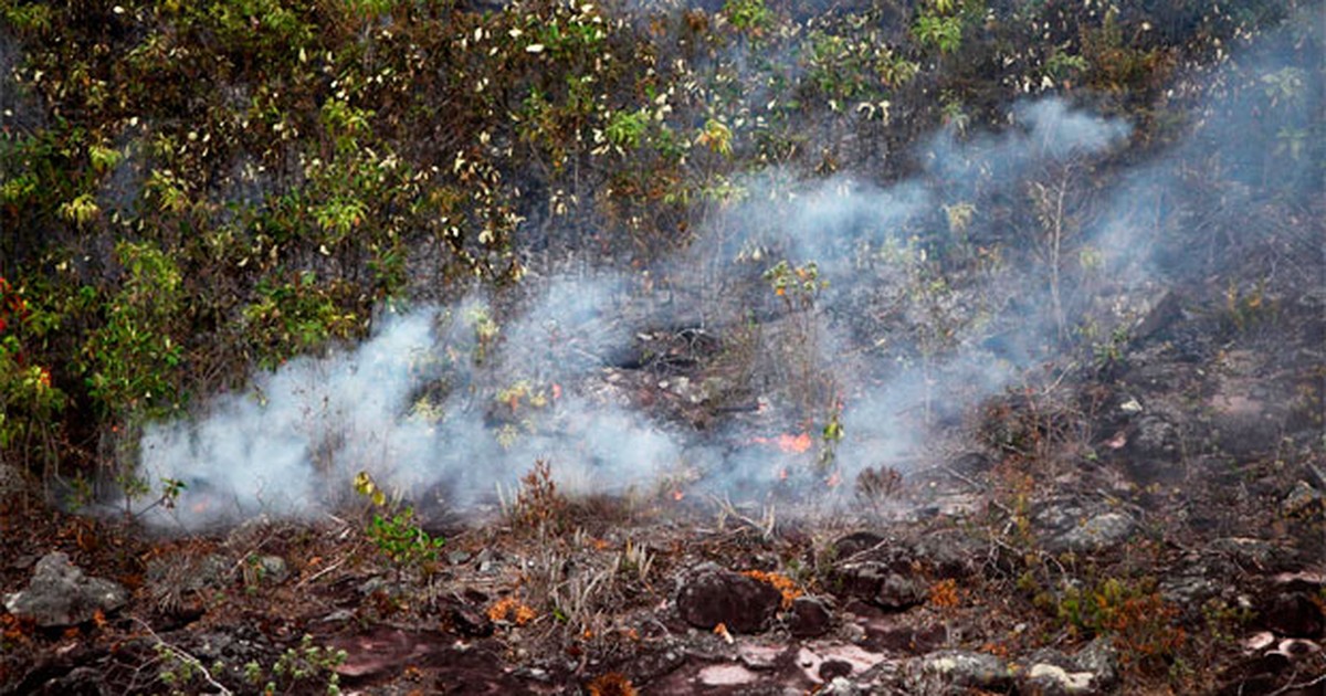 G1 Focos de incêndio atingem mais de 60 municípios no interior da