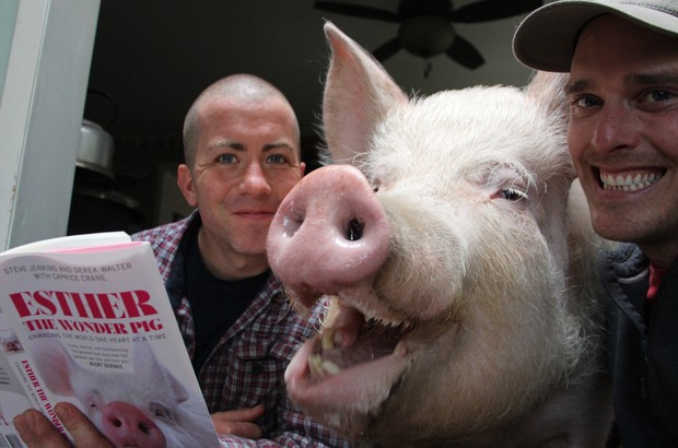 Jenkins e Walter cuidam da leitoa chamada Esther desde que ela era filhote (Foto: Steve Jenkins/AP)