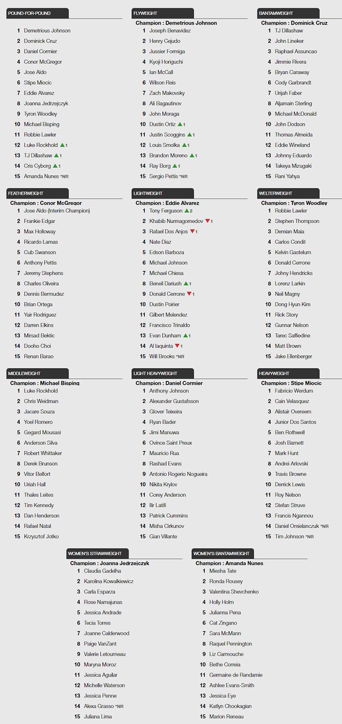 Ranking UFC 7 de novembro (Foto: infoesporte)