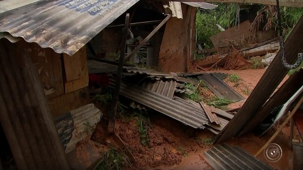 Cachorra ficou soterrada embaixo de telhas e parte do muro da casa, em Votorantim (Foto: Reprodução/TV TEM)