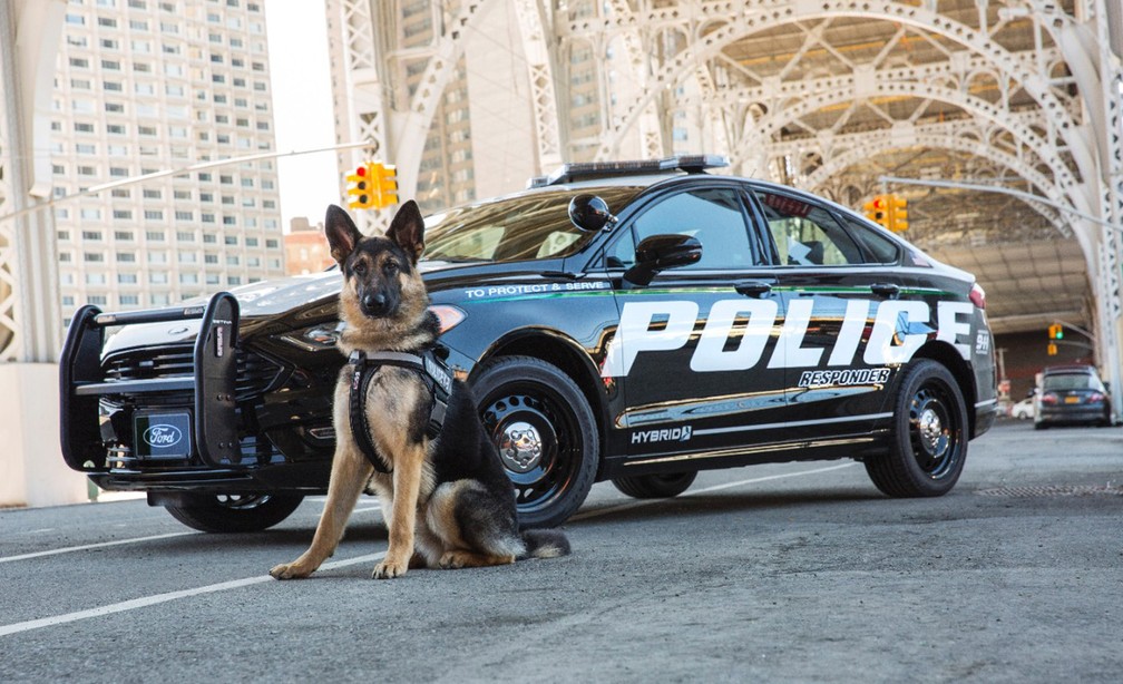 Ford Fusion Police Responder (Foto: Divulgação)