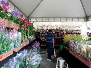 Mostra reúne mais de 100 espécies (Foto: Divulgação/ Rafael Lima) Mostra reúne mais de 100 espécies (Foto: Divulgação/ Rafael Lima)