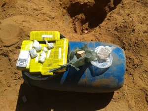 Droga foi encontrada no terreno de uma casa em Petrolina (Foto: Divulgação / Polícia Militar)
