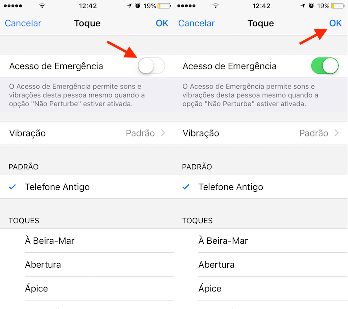 Opção para ativar um contato de emergência no iPhone (Foto: Reprodução/Marvin Costa)