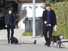 Mila Kunis e Ashton Kutcher levam cachorros para passear 