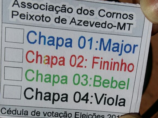 Cdula de votao da eleio realizada no fim de semana (Foto: Associao dos Cornos de Peixoto de Azevedo/ Divulgao)