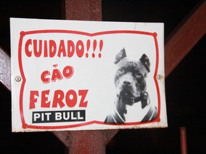 Homem é morto por pit bull em oficina (Foto: Rafael Nemitz/rafaelnemitz.com) Homem é morto por pit bull em oficina (Foto: Rafael Nemitz/rafaelnemitz.com)