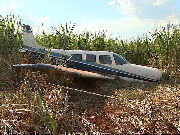 Avião fez pouso forçado em canavial em Guariba, SP (Foto: Paulo Souza/EPTV) Avião fez pouso forçado em canavial em Guariba, SP (Foto: Paulo Souza/EPTV)