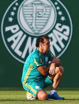 A maratona definitiva do Palmeiras