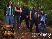 Hamerex