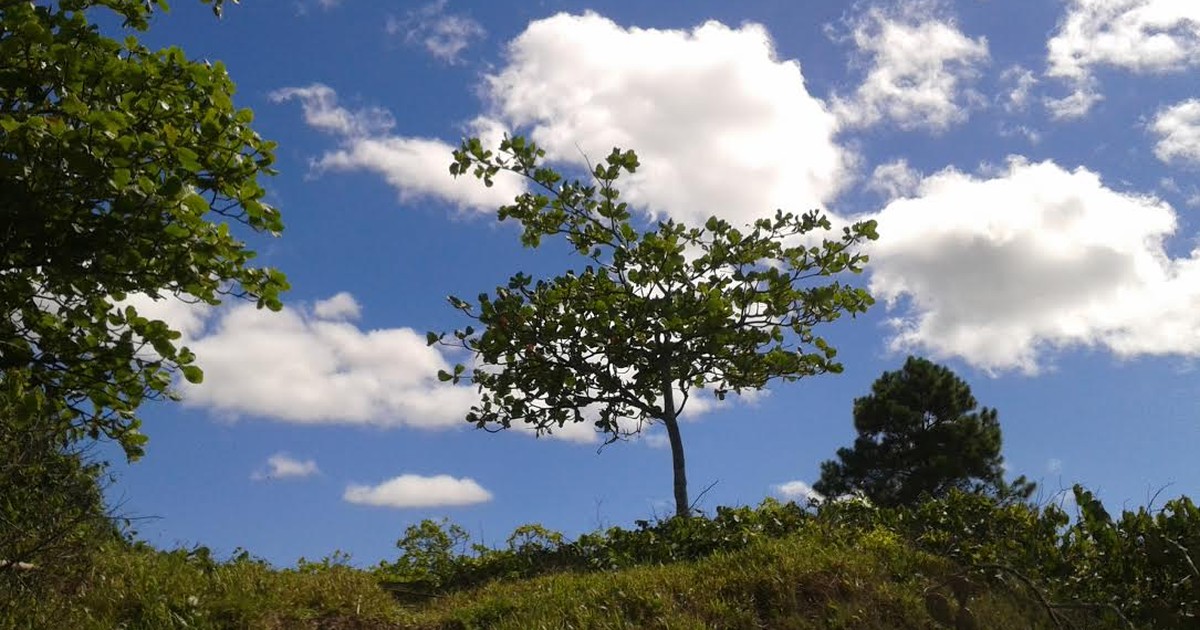 G Quarta Feira Deve Ter Sol Entre Nuvens E Temperaturas Altas Em Sc