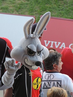 Coelho Joinville mascote apresentação (Foto: João Lucas Cardoso)