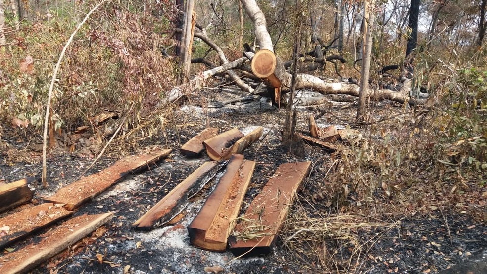 Terra indígena está sendo devastada pelas queimadas e pelo desmatamento — Foto: Ibama/ Divulgação