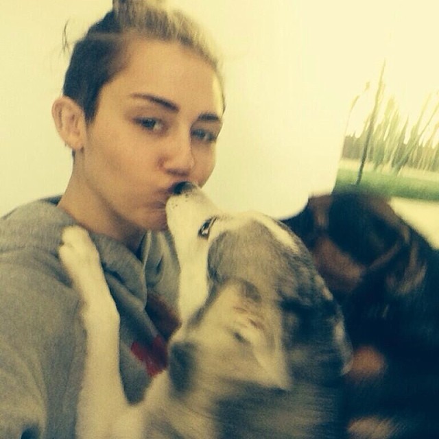 Miley Cyrus posa com seus cachorros (Foto: Reprodução/Instagram)