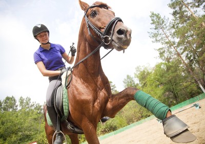 11 Esportes com Cavalos para conhecer e se encantar