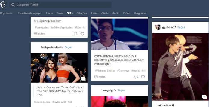 Tumblr tem categoria para encontrar GIFs de forma mais simples (Foto: Reprodução/Barbara Mannara)