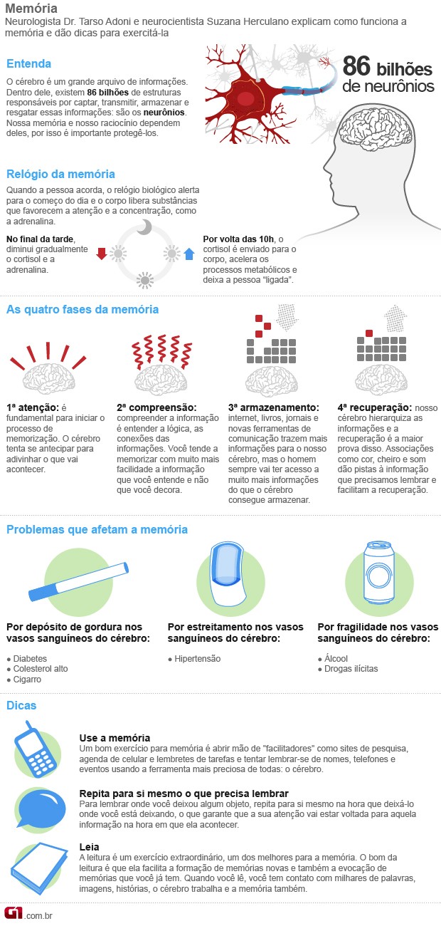 Memória (Foto: Arte/G1)