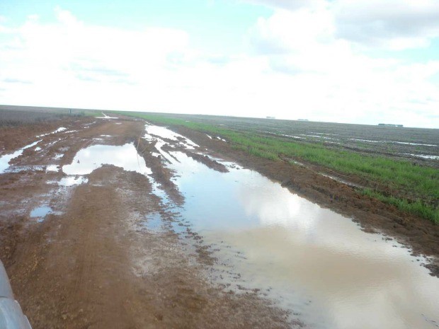 Estrada de acesso a escolas estava alagada  (Foto: Secretaria de Educao de Sorriso (MT))