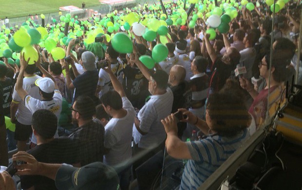 homenagem do colo colo