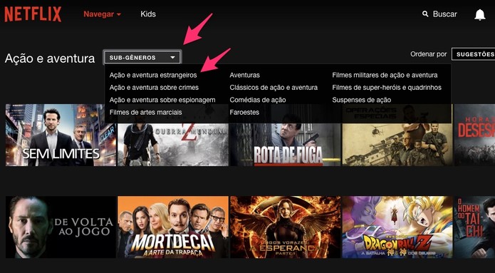 Em Sub-gênero, escolha uma das opções (Foto: Reprodução/Lucas Mendes)