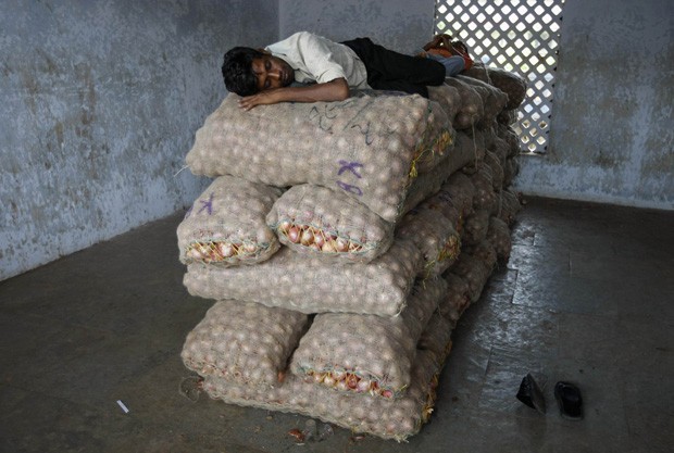 Homem fez 'cama' com sacos de cebola e aproveitou pausa para tirar uma soneca (Foto: Amit Dave/Reuters) Homem fez 'cama' com sacos de cebola e aproveitou pausa para tirar uma soneca (Foto: Amit Dave/Reuters)