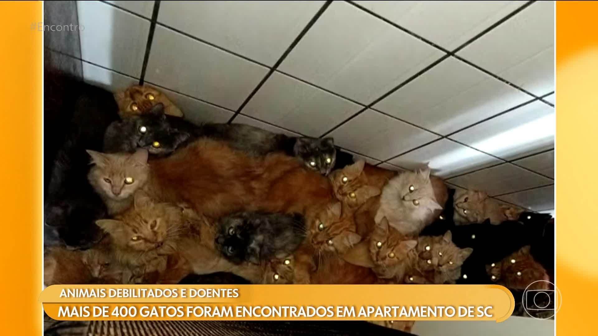 Vídeos do episódio de 'Encontro com Patrícia Poeta' de sexta-feira, 29 de maio de 2026 | Encontro com Patrícia Poeta