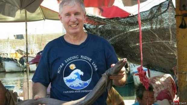  Ebert com tubarão-cobra que pescadores pegaram no Taiwan  (Foto: Dave Ebert/BBC)