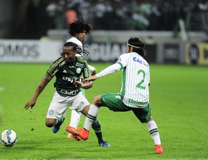 Palmeiras x Chape e PSG x Olympique agitam o domingo do Canal Campeão