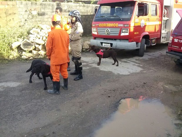 Bombeiros contam com ajuda de cães farejadores (Foto: Felipe de Pádua / TV Sergipe)