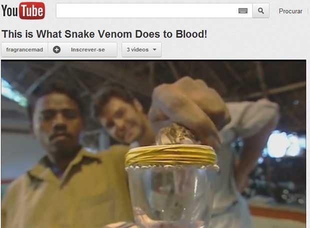 Vídeo que mostra o efeito do veneno de cobra  já foi assistido mais de 2 milhões de vezes (Foto: Reprodução)