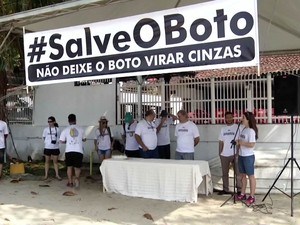 Campanha do MPF quer preservar a espécie na Costa Verde (Foto: Reprodução/TV Rio Sul)