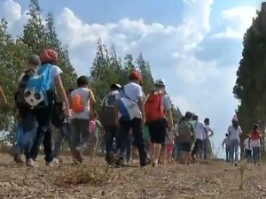 Dia de campo para crianças na Embrapa Agrossilvipastoril (Foto: Reprodução/TVCA)