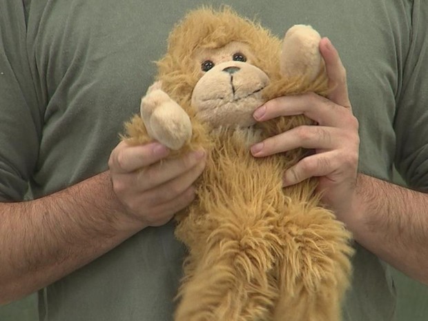 Com o Monkey os alunos aprendem através dos gestos (Foto: Reprodução/TV TEM)