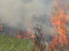 Incêndios mudam cenário de cidade no Sul de RR e fumaça encobre região