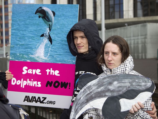 Protesto pela proteção dos golfinhos de Maui, em foto de maio (Foto: Marty Melville/AFP)