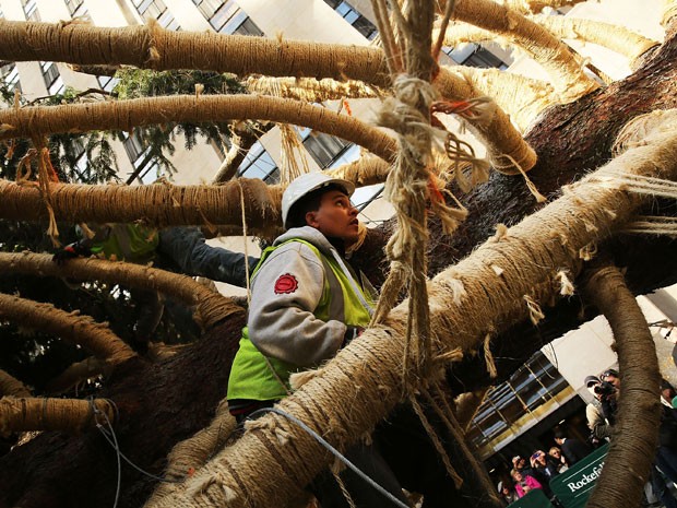 O pinheiro tem 25 m de altura e pesa 13 toneladas (Foto: Spencer Platt/Getty Images North America/AFP) O pinheiro tem 25 m de altura e pesa 13 toneladas (Foto: Spencer Platt/Getty Images North America/AFP)