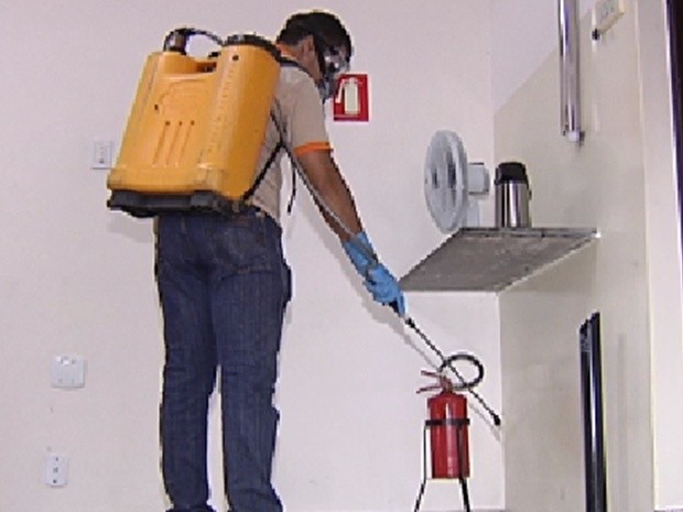 Dedetização deve ser a última opção para o morador (Foto: Reprodução / TV Tem) Dedetização deve ser a última opção para o morador (Foto: Reprodução / TV Tem)