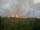 Novas queimadas são registradas em área de proteção ambiental no AP