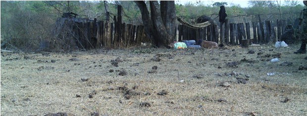 Os corpos dos trabalhadores assassinados foram encontrados espalhados em fazenda (Foto: Arquivo Pessoal)