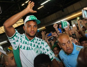 Borja e mais dez! Torcida do Palmeiras vota e elege time-base para 2017